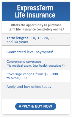 term life insurance quotes rates term insurance aaa life insurance rates chart
